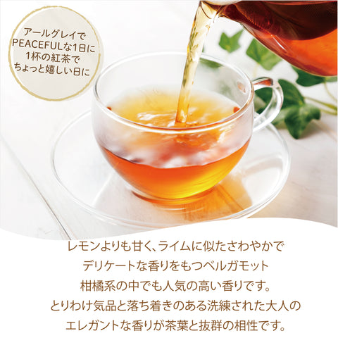 パウダリー アールグレイティー 無糖 ベルガモットの香り インスタント紅茶