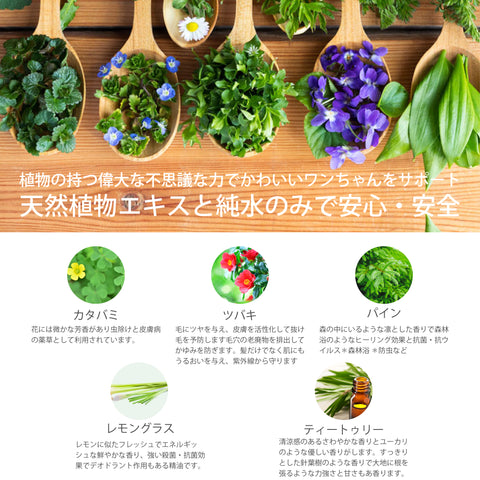 ペット デオドラント虫除けスプレー レモングラス ティートゥリー　Botanical lab AROMA PHYTONCIDE PET DEODORANT SPLAY アロマフィトンチッド ペットデオドラントスプレー100ml