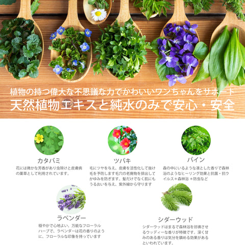 ペット デオドラント虫除けスプレー ラベンダー シダーウッド　Botanical lab AROMA PHYTONCIDE PET DEODORANT SPLAY アロマフィトンチッド ペットデオドラントスプレー100ml