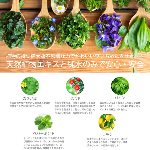 ペット デオドラント虫除けスプレー ペパーミント レモン　Botanical lab AROMA PHYTONCIDE PET DEODORANT SPLAY アロマフィトンチッド ペットデオドラントスプレー100ml