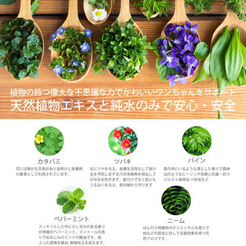 ペット デオドラント虫除けスプレー ペパーミント ニーム　Botanical lab AROMA PHYTONCIDE PET DEODORANT SPLAY アロマフィトンチッド ペットデオドラントスプレー100ml