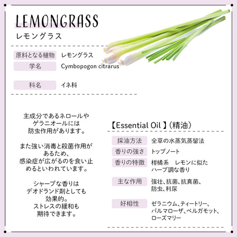 Botanical lab ロールオンアロマ パフューム REFRESH 気分リセットアロマ｜ペパーミント×ティートリー×レモングラス×スイートオレンジ 10g