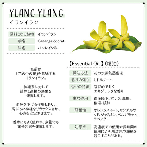 Botanical lab アロマオイル セラピーグレード 3本セット “ヘアーケアーに イランイラン シダーウッド ローズマリー 思わずハグしたくなる香り