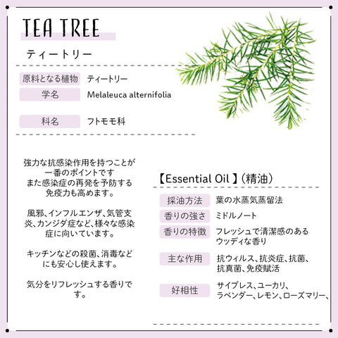Botanical lab アロマオイル セラピーグレード 3本セット “花粉アレルギー対策“に ペパーミント ティートゥリー ユーカリー