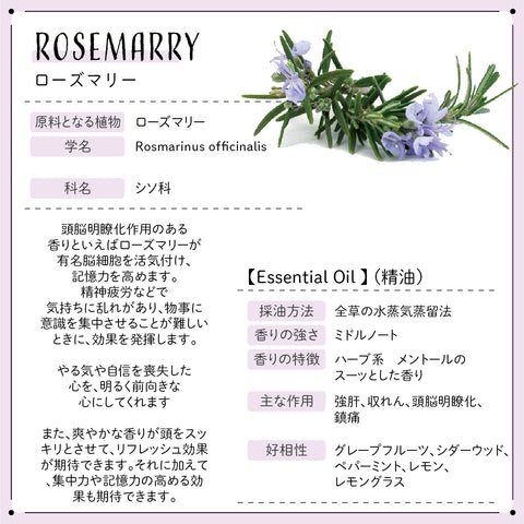 Botanical lab アロマオイル セラピーグレード 3本セット “PMS ウーマンズバランス“に ペパーミント ティートゥリー ユーカリー