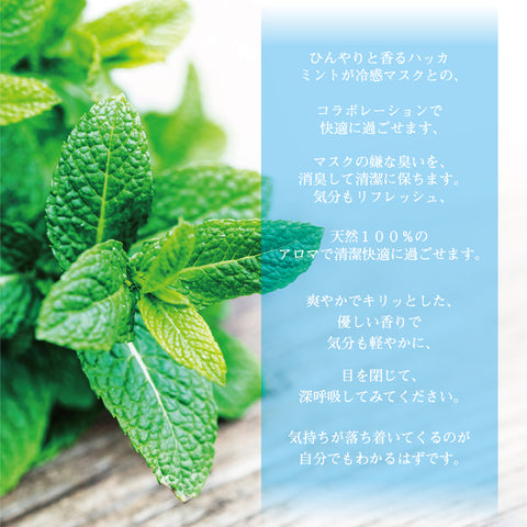 Botanical lab 「アロマ スプレー エアーフレッシュナー 冷感マスクに ミントでスッキリ マスク消臭 ハッカ、ペパーミント、レモンブレンド30ml×３本セット