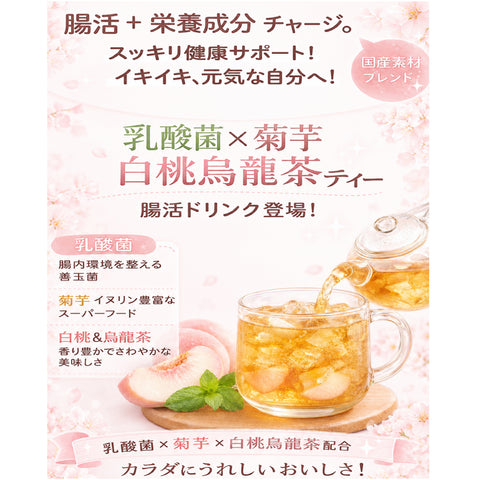 乳酸菌×菊芋 白桃烏龍茶 インナービューティー腸活ティー;ビタミン11種配合 シールド乳酸菌