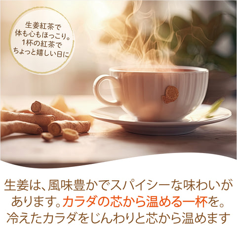 しょうが茶 無糖 インスタントジンジャーティー(簡単：お水・お湯にサッと溶ける) からだも心も温まる生姜の紅茶 低カロリー カテキン ポリフェノール