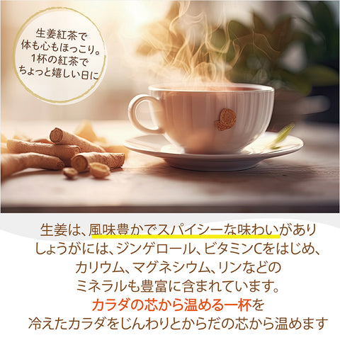 はちみつしょうが茶 インスタントジンジャーハチミツティー ポリフェノールからだも心も温まる生姜の紅茶