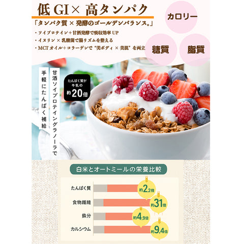 甘酒ソイプロテイングラノーラ｜ソルティーメープル 米麹甘酒×大豆プロテイン＋コラーゲン＆乳酸菌配合