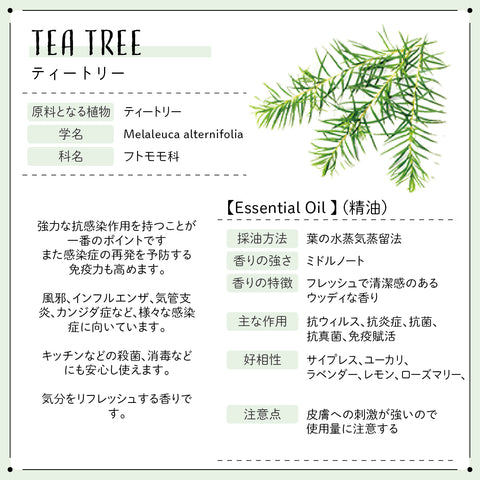 Botanical lab ロールオンアロマ パフューム REFRESH 気分リセットアロマ｜ペパーミント×ティートリー×レモングラス×スイートオレンジ 10g