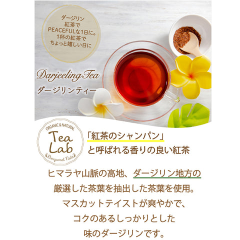 アイスティー パウダリー ダージリンティー 無糖 上質で優雅な風味と香りが立ち上る (簡単：お水・お湯にサッと溶ける) 200杯分 インスタント紅茶
