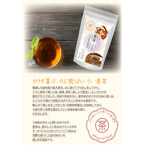 絶品 麦茶 国産六条大麦をこだわり製法で仕上げた。麦本来のまろやかな味と香りの絶品麦茶 水出し ミネラル豊富 ノンカフェイン・ノンカロリー 10g 12パック