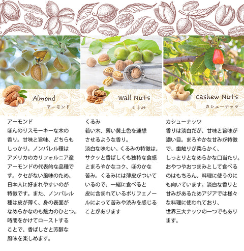 【ナッツdeコーヒー】 ブルーマウンテンコーヒー&ミックスナッツ リラックスタイムの珈琲を引き立てる ロースト仕立てのしあわせミックスナッツ ドリップコーヒー&ミックスナッツ10g ５パックセット
