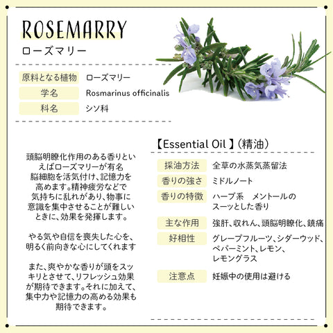 Botanical lab ロールオンアロマ パフューム ENERGY POWER 朝のスイッチアロマ｜グレープフルーツ×ローズマリー×ラベンダー×ゼラニウム 10g
