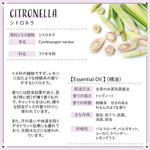 Botanical lab アロマオイル セラピーグレード 3本セット “虫除け・アレルギー“に レモン サイプレス ローズマリー (コピー)