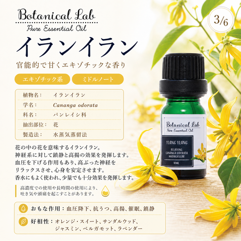 Botanical lab アロマオイル セラピーグレード 3本セット “イライラ・ストレス“に ラベンダー ベルガモット イランイラン「いい匂いがすると、脳、身体、心が喜びみんなが笑顔になります。」