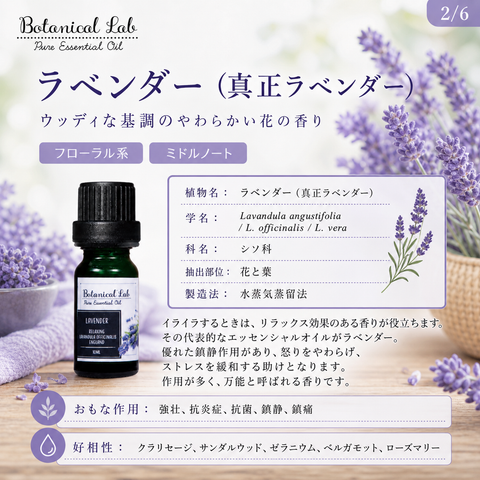 Botanical lab アロマオイル セラピーグレード 3本セット “イライラ・ストレス“に ラベンダー ベルガモット イランイラン「いい匂いがすると、脳、身体、心が喜びみんなが笑顔になります。」