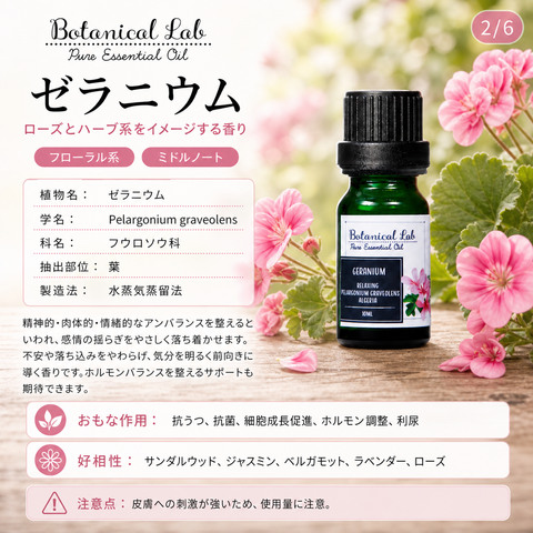 Botanical lab アロマオイル セラピーグレード 3本セット “落ち込み・鬱に“に ゼラニウム オレンジスイート ネロリ「いい匂いがすると、脳、身体、心が喜びみんなが笑顔になります。」 (コピー) (コピー)
