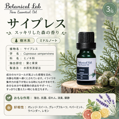 Botanical lab アロマオイル セラピーグレード 3本セット “集中力・頭脳明瞭“に レモン サイプレス ローズマリー (コピー)