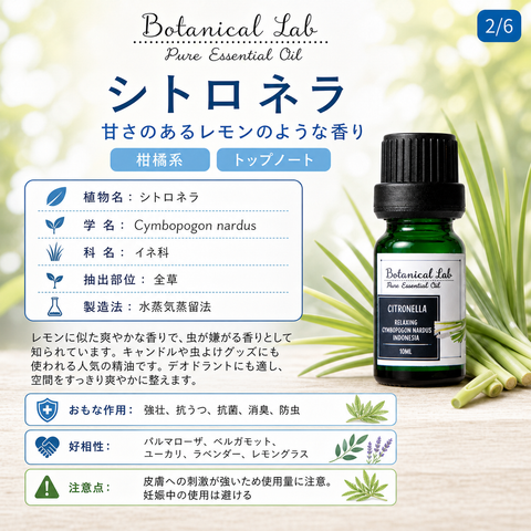 Botanical lab アロマオイル セラピーグレード 3本セット “虫除け・アレルギー“に レモン サイプレス ローズマリー (コピー)