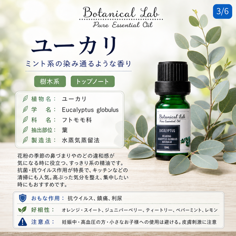 Botanical lab アロマオイル セラピーグレード 3本セット “花粉アレルギー対策“に ペパーミント ティートゥリー ユーカリー