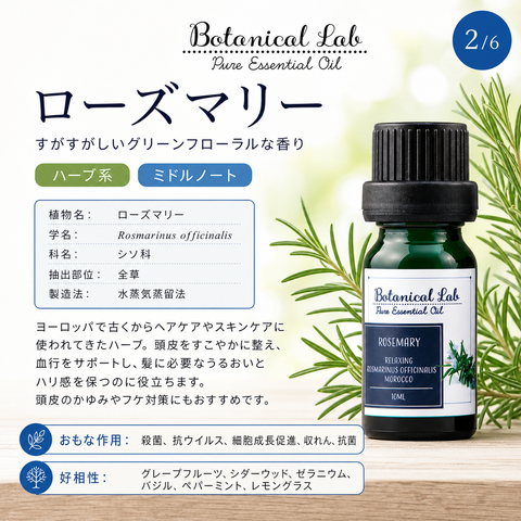 Botanical lab アロマオイル セラピーグレード 3本セット “ヘアーケアーに イランイラン シダーウッド ローズマリー 思わずハグしたくなる香り