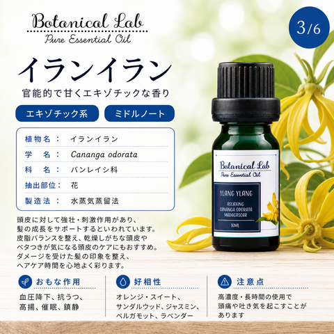 Botanical lab アロマオイル セラピーグレード 3本セット “ヘアーケアーに イランイラン シダーウッド ローズマリー 思わずハグしたくなる香り