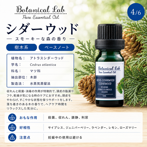 Botanical lab アロマオイル セラピーグレード 3本セット “ヘアーケアーに イランイラン シダーウッド ローズマリー 思わずハグしたくなる香り