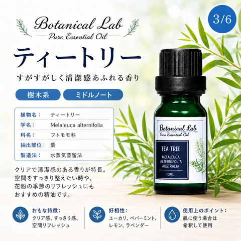 Botanical lab アロマオイル セラピーグレード 3本セット “花粉アレルギー対策“に ペパーミント ティートゥリー ユーカリー