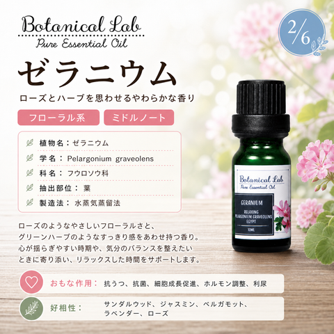Botanical lab アロマオイル セラピーグレード 3本セット “PMS ウーマンズバランス“に ペパーミント ティートゥリー ユーカリー