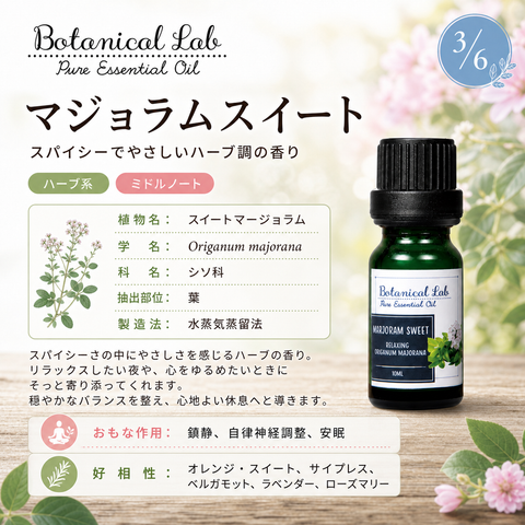 Botanical lab アロマオイル セラピーグレード 3本セット “PMS ウーマンズバランス“に ペパーミント ティートゥリー ユーカリー