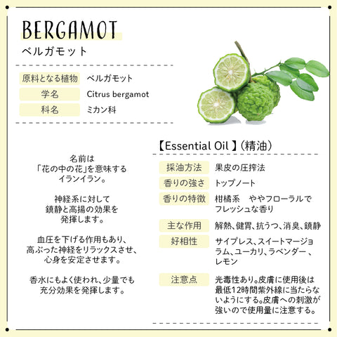 Botanical lab ロールオンアロマ パフューム RELAXATION リラクゼーション 10g｜ほっと一息つきたい時に｜ラベンダー ベルガモット ゼラニウム オレンジ フランキンセンス｜携帯アロマ 香水 保湿オイル