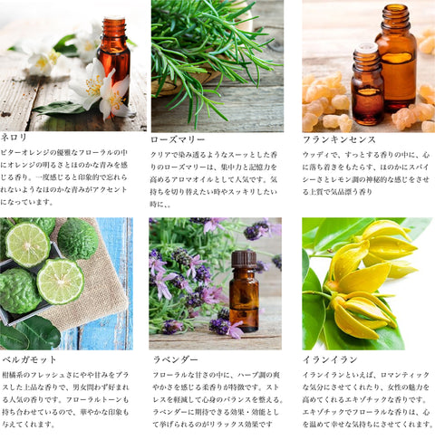 Botanical lab ハチミツ ハニーバスオイル with アロエベラ配合 マンダリン・イランイラン アロエ・はちみつ入浴剤 　アロマ芳香沐浴剤