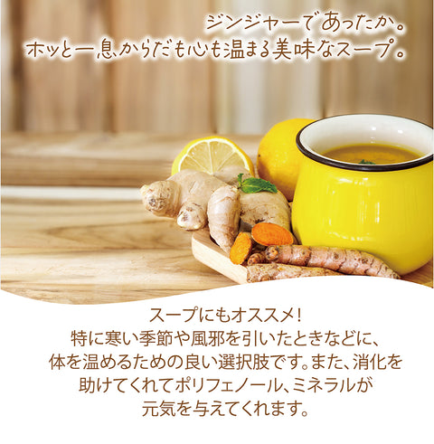 しょうが茶 無糖 インスタントジンジャーティーからだも心も温まる生姜の紅茶