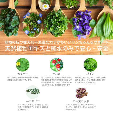 ペット デオドラント虫除けスプレー ユーカリーローズウッド　Botanical lab AROMA PHYTONCIDE PET DEODORANT SPLAY アロマフィトンチッド ペットデオドラントスプレー100ml