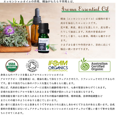 Botanical lab ロールオンアロマ パフューム 2本セット おやすみ瞑想ブレンド メディテーション＆ナイトタイム｜100％ボタニカル香料｜携帯用ロールオンアロマ 10g×2