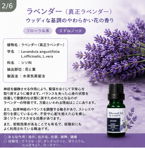 Botanical lab アロマオイル セラピーグレード 3本セット “緊張・不安歌唱“に ラベンダー オレンジスイート サンダルウッド「いい匂いがすると、脳、身体、心が喜びみんなが笑顔になります。」 (コピー)