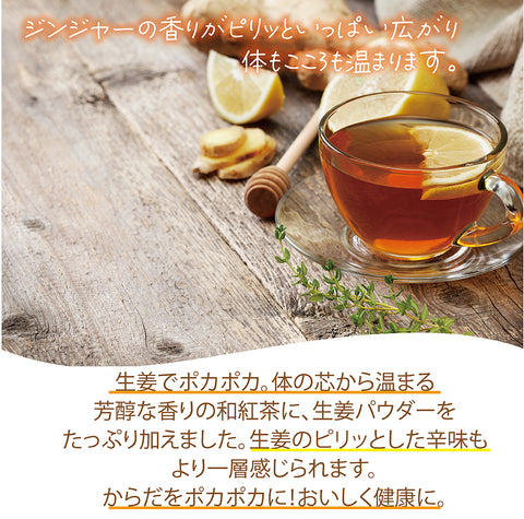 しょうが茶 無糖 インスタントジンジャーティーからだも心も温まる生姜の紅茶
