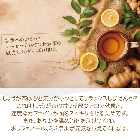 しょうが茶 無糖 インスタントジンジャーティー(簡単：お水・お湯にサッと溶ける) からだも心も温まる生姜の紅茶 低カロリー カテキン ポリフェノール