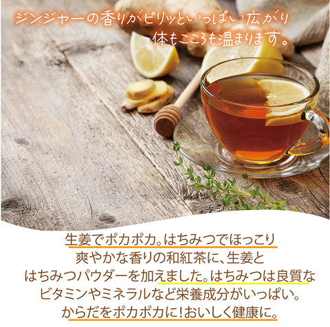 はちみつしょうが茶 インスタントジンジャーハチミツティー ポリフェノールからだも心も温まる生姜の紅茶